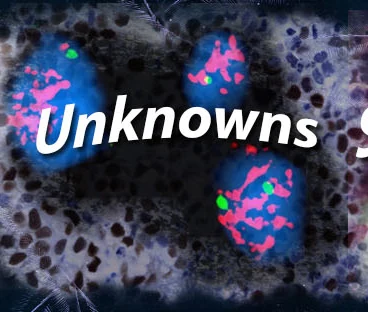 Unknowns